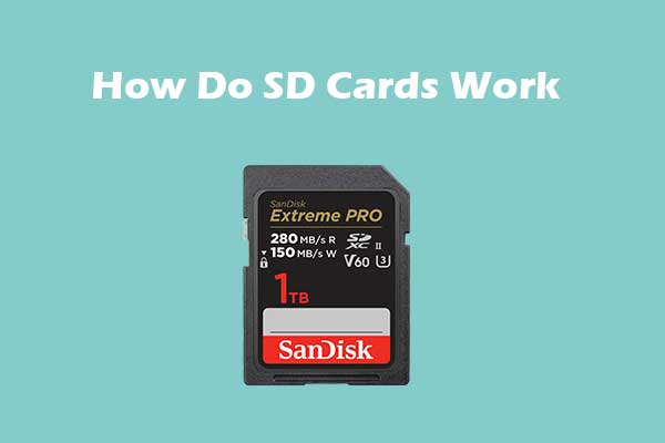 A Complete Guide to SD Cards: How They Work and How to Use Them