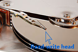 Magnetic Head 1