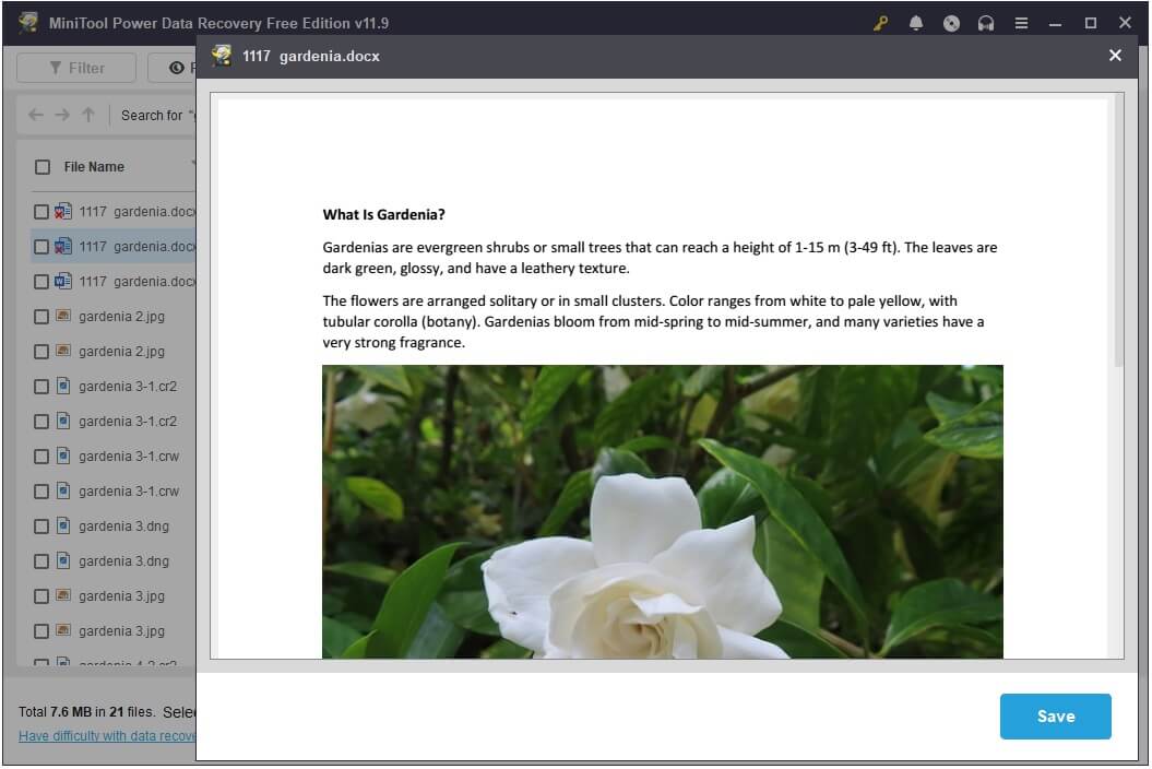preview the Word document