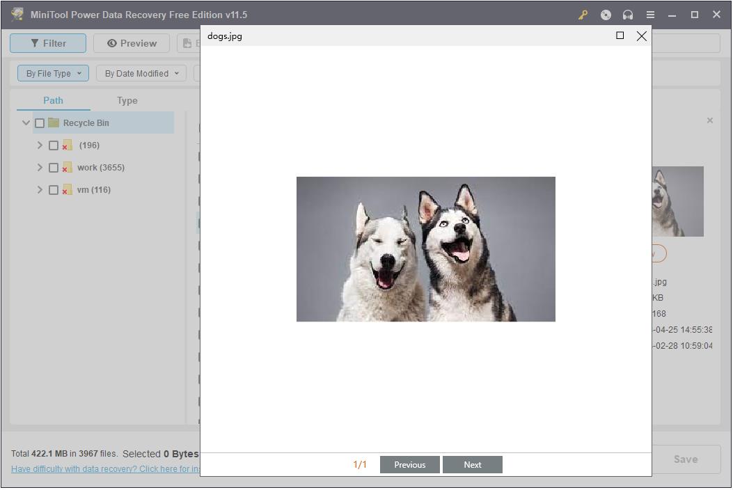preview the file