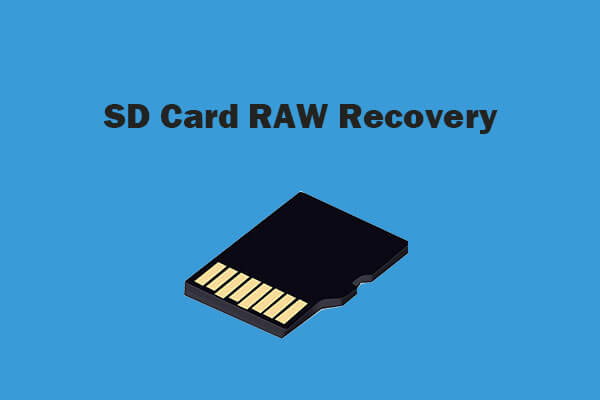RAW SD Card Recovery: How to Fix RAW Card Without Losing Data