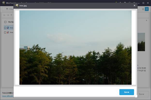 The preview window of MiniTool Power Data Recovery showing a forest image for file verification.