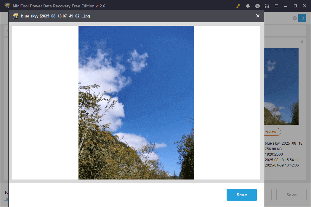 preview the files using MiniTool Power Data Recovery