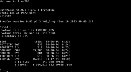 disk operating system
