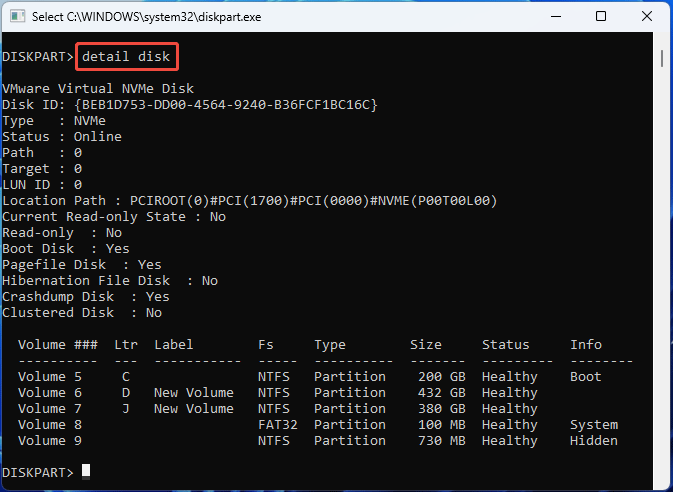 screenshot showing DiskPart Detail Disk command