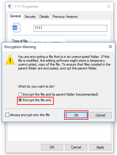 click Encrypt the file only
