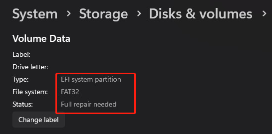 EFI system partition FAT32 full repair needed