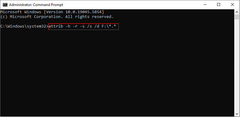 run the command to show hidden files
