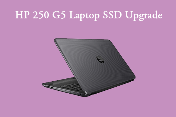 HP 250 G5 Laptop SSD Upgrade – You Should Know