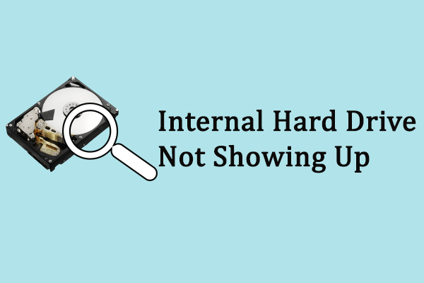 How to Fix Internal Hard Drive Not Showing Up on Windows
