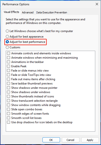 The Performance Options window with selected Adjust for best performance to disable visual effects.