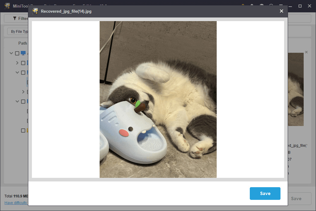 preview the file in MiniTool Power Data Recovery