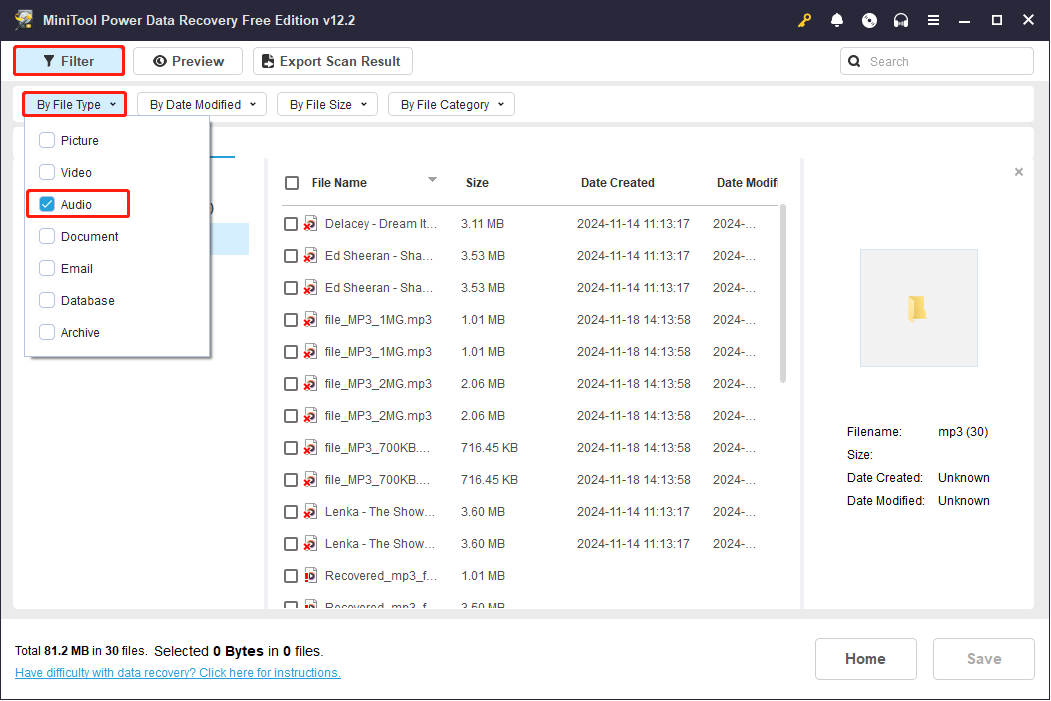 in the scanning results page of MiniTool Power Data Recovery, find the needed audio files using the Filter feature