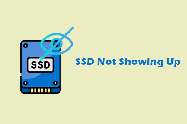 A Guide on How to Fix SSD Not Showing Up on Windows 10/11