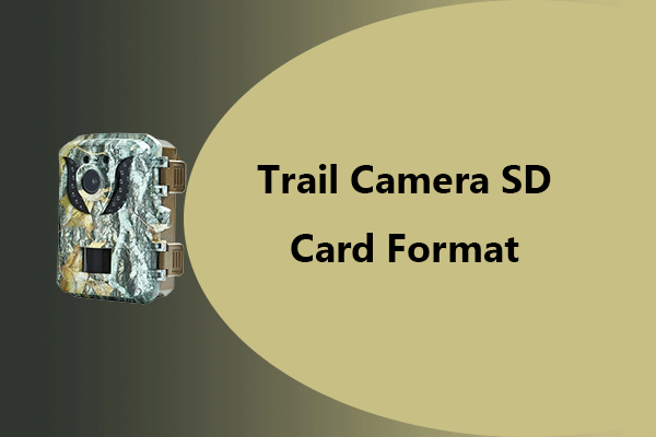 [Full Guide] How to Choose and Format Trail Camera SD Card?