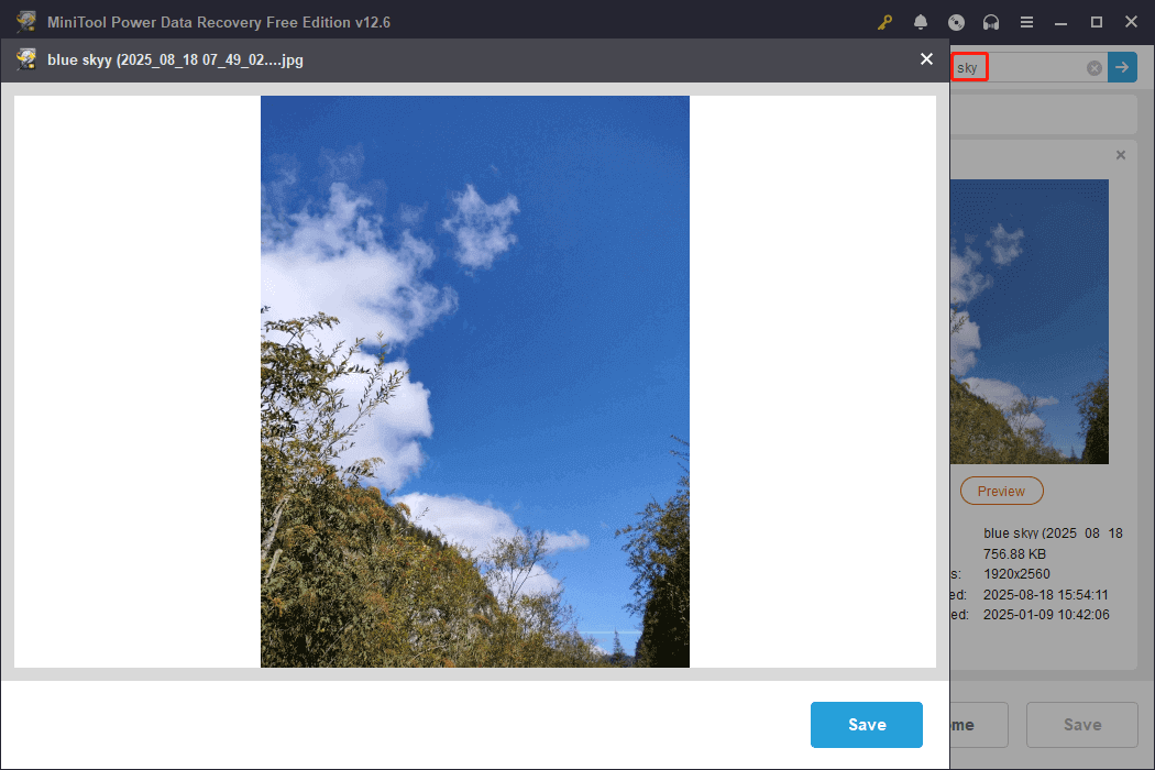 check the files before recovery in MiniTool Power Data Recovery