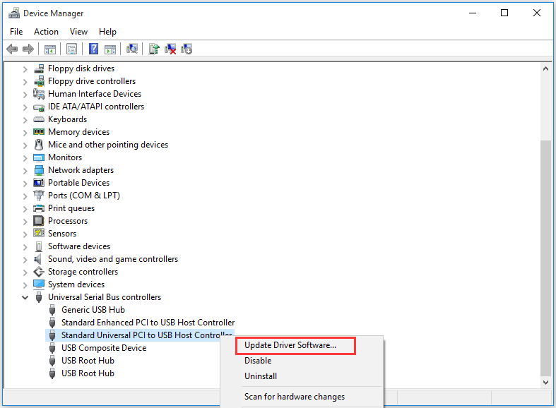 click Update Driver Software